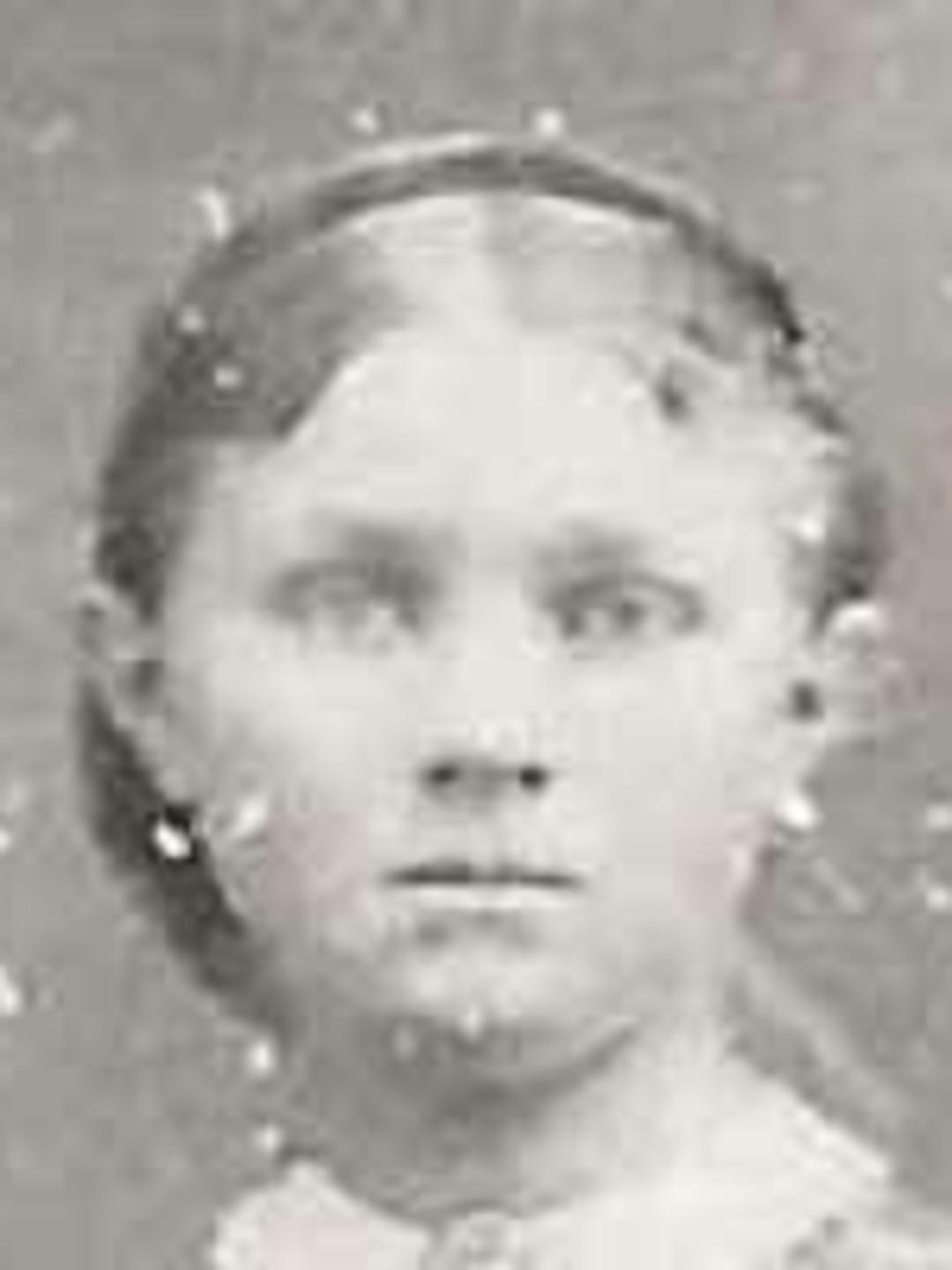 Ingeborg Kirstine Larsine Sorensen (1854 - 1916) Profile